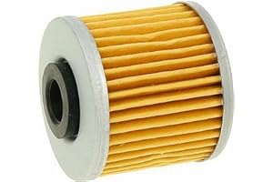 UNBEKANNT Filtro olio per Kymco Downtown, People GT 125i, 200i, 300i