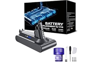 RYZWOC 6000mAh V10 Batterie pour Dyson V10 SV12 Animal V10 Absolute V10 Motorhead Fluffy Aspirateur sans Fil Total Clean Batterie Dyson V10 Li-ION Batterie avec Filtre