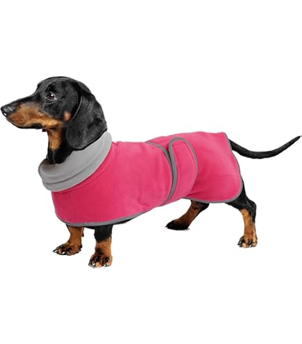 Carhartt Dog Jacket Babepet Waterproof Small Dog Winter Coat - Main Image