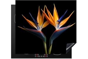 KitchenYeah© Cubre Vitrocerámica - Protector Vitroceramica Induccion 60x52 cm - Tapa Vitroceramica - Protector de Vitroceramica Plantas - Flores - Flor de ave del paraíso - Retrato - Negro