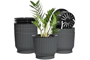 T4U 6 Inch Self Watering Pots 6 Pack, Plastic Plant Pots with Holder, Windowsill Flowers Pots for All Indoor Outdoor Plants, African Violets (Grey)