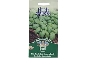 MR FOTHERGILLS Mr Fothergill's 23144 Basil Sweet, Black