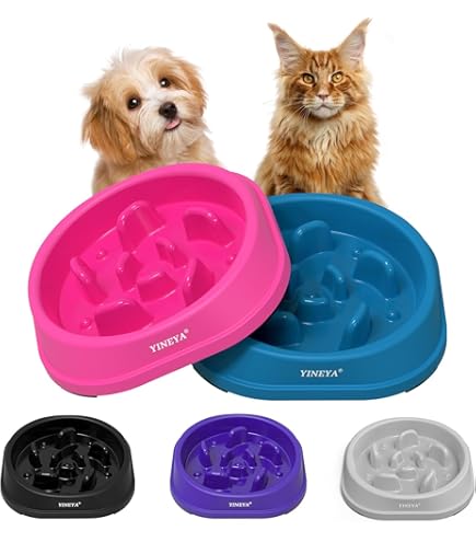 Petstages Kitty slow feeder groen anti-schrokbak - Van Noord's Dierenvoeders