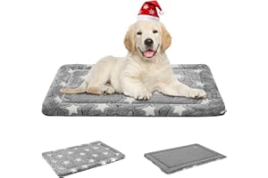 EMPSIGN Alfombra De Cama para Perro, Reversible (Fresco y Caliente), Colchón Perro Lavable, Cama Impermeable para Perros con Funda Extraíble, Gris, M, 76 * 51 * 2.8cm