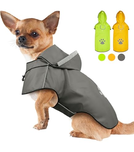 Hund Regenmantel Mit Bauchschutz - Wasserdicht & Atmungsaktiv Für Corgis & Kleine Hunde