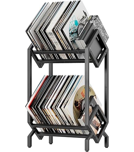 Audio Anatomy Vinyl-Schallplattenständer für stilvolle Aufbewahrung von bis zu 40 LP's/aus langlebigem und leichtgewichtigem High Impact Polystyren/geeignet für 12''-Schallplatten - Orange