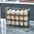 HomeCloud Acrylic Egg Holder For Refrigerator Door,Egg Storage Box Creative Flip Box,3-Layer Flip Fridge Egg Tray Container,Reusable Versatile Clear Tray 30 Grid (Green)Rectangular