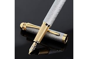 BOCIYER fancy fountain pen set,Luxury Fine Nib,Includes 10 Ink Cartridges&Ink Converter,Best Pen Gift Case for Men & Women,Nice office writing Pens(Silver)