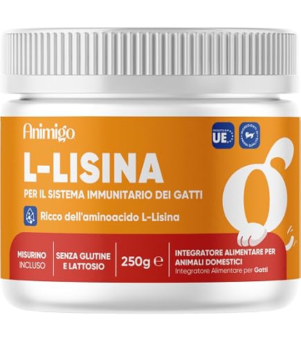 GymBeam Lysine in Polvere, 1000 mg per Dose, Amminoacido Essenziale L-Lysine, Integratore di L-Lisina - Elemento Costitutivo delle Proteine, Importante per la Sintesi Proteica (500 g