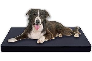 MyBestBuddy Hundekissen Premium orthopädisch mit 3 cm Vollschaum-Kern grau 80x60 cm L, Hundematte mit Stoffbezug, 40°C waschbar, allergikerfreundlich - Hundebett für mittelgroße Hunde, 80 x 60 cm