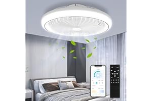 Viugreum 47CM Ceiling Fan with Light and Remote Control, Dimmable LED Ceiling Fan 3000/4500K/6500K, Reversible Mode, 6 Adjustable Wind Speeds, 2H Timer LED Fan Light for Living Room Bedroom