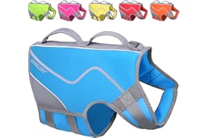 VIVAGLORY Life Jacket for Dogs of Sports Style, Heavy Duty Pet Safety Vest, Comfortable Neoprene Lifejackets with Hook & Loop Closure, Blue, XLarge
