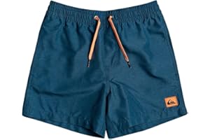 Quiksilver Jungen Everyday 13" Boardshorts