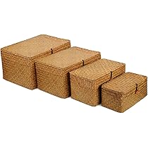 Set Di 2 Cestini Portaoggetti Per La Biancheria Con Coperchio In Giacinto Dacqua Danang 81267652