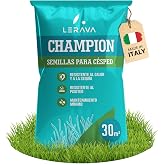 LERAVA CHAMPION seeds grass (30 m&sup2;) - drought resistant turf - mix with fescue arundinacea - low water consumption and fast g