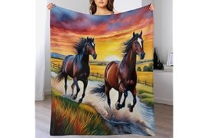 AAPZY Pferd Decke Vier Jahreszeiten Bett Wohndecke Kuscheldecke Extra Dick & Warm Sofadecke/Couchdecke Flannel Sofaüberwurf Superweich Und Flauschig Fleecedecke （130×150cm）