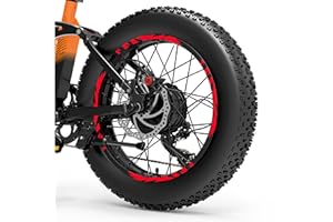 DualColorStampe Adesivi Cerchi Bici FAT BIKE 20'' Pollici Ruota Bici accessori Fat bike MTB Stickers Cerchi Scheggiato - B0090 (Rosso Fluorescente)