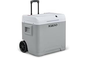 IGLOO IE42 AC/DC frigorifero elettrico con maniglia telescopica e ruote per auto e presa di corrente, mini-frigorifero 42 L, 12V e 230V, grigio