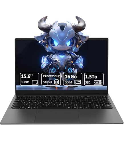 PC Portable Gaming 15.6" FUNYET 2025 - Ryzen 7 5700U, 32 Go RAM, 1 To SSD, Windows 11 - Portable Performant - 6