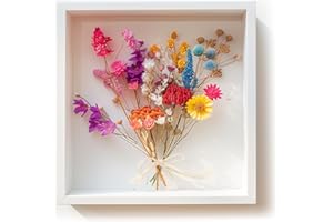 BRITISH OWL British made White 10" x 10" Shadow Box Picture Frame Wooden Photo, Crafts, Wedding, Art, With Mount