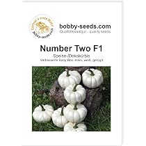 Bobby-Seeds Kürbissamen 'Gladiator PMT F1' – Mehltauresistent, Portion (10 Korn)