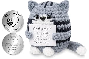 Ⅰ Positif Chat