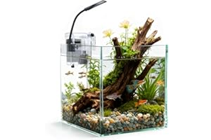 Nobleza - Pecera de Cristal 27 litros con Filtro Integrado e Iluminación LED – Acuario Completo para Principiantes e Iniciación
