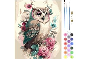 QENSPE Paint by Numbers Owl, DIY Adult Paint by Number Kits on Canvas, Flower Oil Hand Painting with Brushes Paint Kits for Adults Art Crafts for Home Wall Decor 16x20in (Frameless)