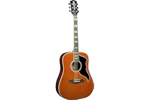 Eko Ranger VI VR Nat Guitars Akustikgitarre