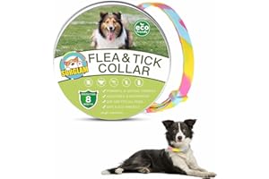 SURGLAM Flea and Tick Treatment for Dogs, Adjustable Dog Flea Collar, Waterproof 8 Months Natural Flea Treatment for Small Medium Large Dogs Puppies, Anti-flea Collars, Tick & Lice Repellent