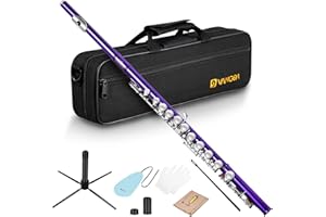 Vangoa Querflöte 16-Klappen-C Geschlossenem,Vernickelt,Violett, Flöte mit Koffer und Flötenständer für Anfänger Erwachsener Musikinstrumente Akkurater Intonation