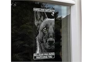 Belgian Malinois Watching You, Dog Sticker, Home Security Sign, Car Window Laptop Decal, Pet Owner Gift -V29 (Inside Reverse 