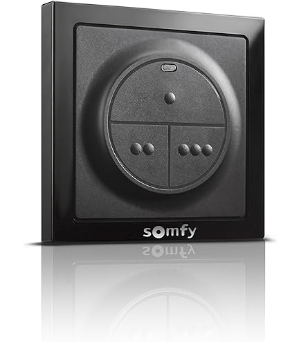 Receptor Somfy RTS De 2 Canales - 433.42 MHz, 24 Vdc/Vac, Compatible Con Mandos A Distancia Somfy RTS (número 2400556/1841022)