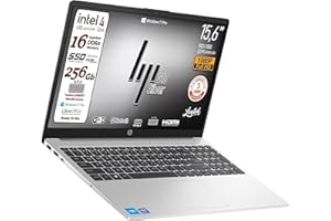HP 250 G10 Series Notebook Portatile, SSD, Display FHD da 15.6", Cpu Intel 4core N100, Ram 16Gb, Wi-fi 6, 3 usb, webcam HD,tastiera retroilluminata, Win11 Pro, pronto All'uso, Garanzia Italia 3 anni