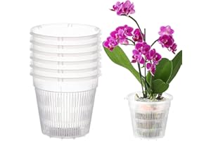 Youning Lot de 6 pots à orchidées, transparents, respirants, en plastique, avec trous, pour orchidées, semis, plantes succulentes, plantes en pot (14 cm)