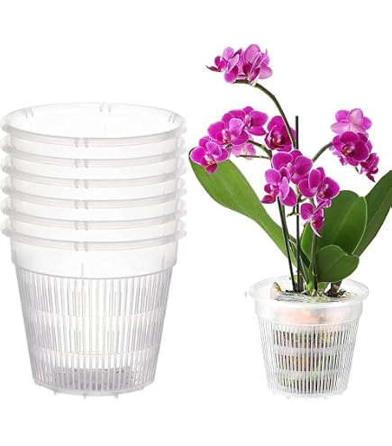 Lot De 10 Pots Transparents Pour Orchidées - Avec Soucoupes Et Trous De Drainage, 11,5 Cm - Parfait Pour Plantes D'intérieur Et Balcon - 2