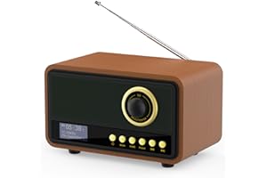 Mycket Radio numérique Dab/Dab+, Radio FM rétro, Haut-Parleur Bluetooth alimenté par Piles et Lecteur de Musique Rechargeable avec Disque AUX/U, 80 Stations préréglées, Effet Bois