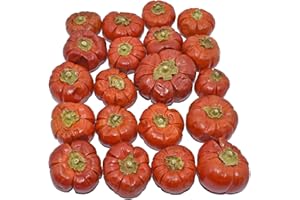Falcon Workshop Supplies Ltd 20 DRIED MINI PUMPKIN SOLANUM WHOLE FRUIT, HALLOWEEN CHRISTMAS CRAFT WREATH FLORIST