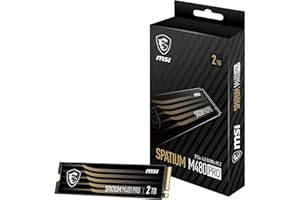 MSI SPATIUM M480 Pro PCIe 4.0 NVMe M.2 2TB