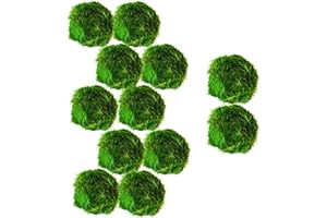 PARTY IN MY PLANTS Marimo Moss Balls Aquarium Aquatic Plant Easy Betta Cherry Shrimp Java (10 (+2 Free))