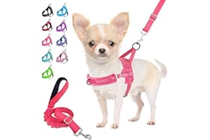 Eyein Dog Harness Small Dog, Anti Pull Heavy Duty Dog Harness and Lead Set, Easy for Walk Vest Harness Soft Padded Reflective Adjustable Anti-Twist Pet Lead Quick fit for Small Puppy Dog Cat(XS)