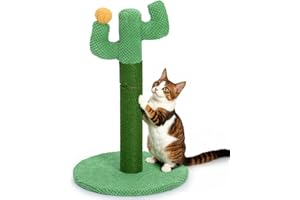 Happy & Polly Rascador para Gatos Cactus 50 cm - Poste en Cuerda de Yute Natural Con Base Estable para Gatitos y Adultos en Interiores - Verde