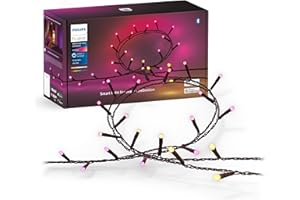 ‎PHILIPS HUE Philips Hue Festavia Lichterkette, White & Color Ambiance, dimmbar, 250 Mini LEDs, 20 m Länge, wasserdicht, kompatibel mit Amazon Alexa (Echo & Echo Dot)