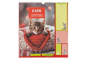 Grupo Erik: Calendario Famiglia 2026 Gattini | Calendario 2026 da muro con 4 colonne, 30x34cm, da Settembre 2025 a Dicembre 2026 con To Do List, stickers e penna inclusa