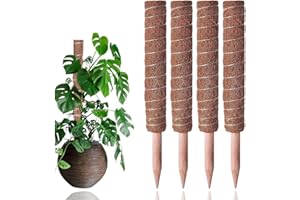 We Art Leaves Moss Pole for Monstera–4PCS–30CM Each Moss Pole with 40 Zip Ties & 40 Plant Labels–Extendable Monstera Plant Support with Mesh–Perfect Plant Supports for Indoor Plants & Outdoor
