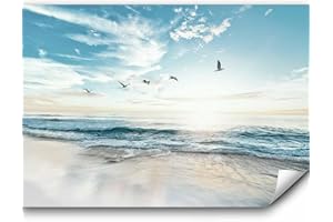 murando - Papier peint intissé Mer Plage 350x256 cm Décoration Murale XXL Poster Tableaux Muraux Tapisserie Panoramique Photo Trompe l'oeil Ciel Oiseaux Paysage Papiers peints Nature b-B-10023-a-a