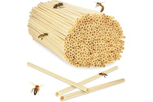 LIUYIDM 500 Pièces Hotel a Insectes Kit Maison d'abeille 14.5 cm Longueur,Paille de Blé Naturelles pour Hôtel à Abeilles,Aide à la Nidification,pour Abeilles Papillons et Autre Insecte