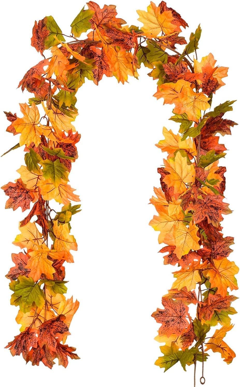 Vue 8