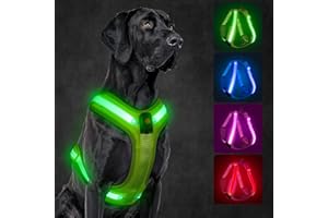 KOSKILL Light Up Dog Harness,Led Dog Harness Rechargeable,Lighted Dog Harness Glow in The Dark, LED Dog Vest Reflective,Light Up Harness for Dogs,Dog Lights for Night Walking(Green, L)