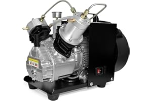 Compresor de aire TUXING 4500Psi Pcp, compresor de aire de tanque de buceo, compresor de aire de alta presión de mini cilindro doble para llenado de tanque de paintball/buceo 220 V (TXEDM041)